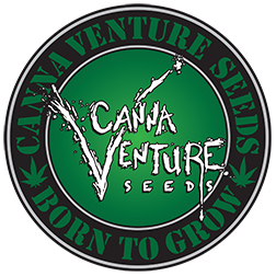 cannaventure_seeds