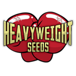 heavyweight_seeds