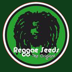 reggae_seeds