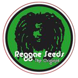 reggae_seeds2