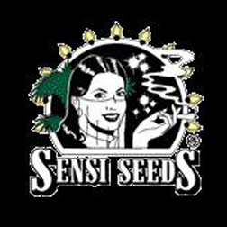 sensi_seeds