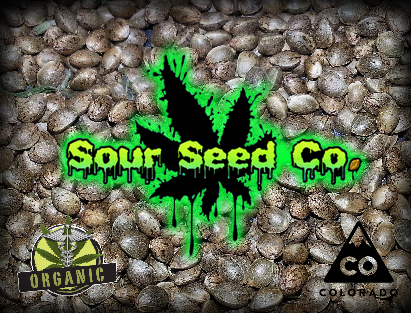 sour_seed_logo_on_seeds