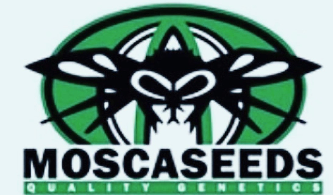 moscaseeds_logo