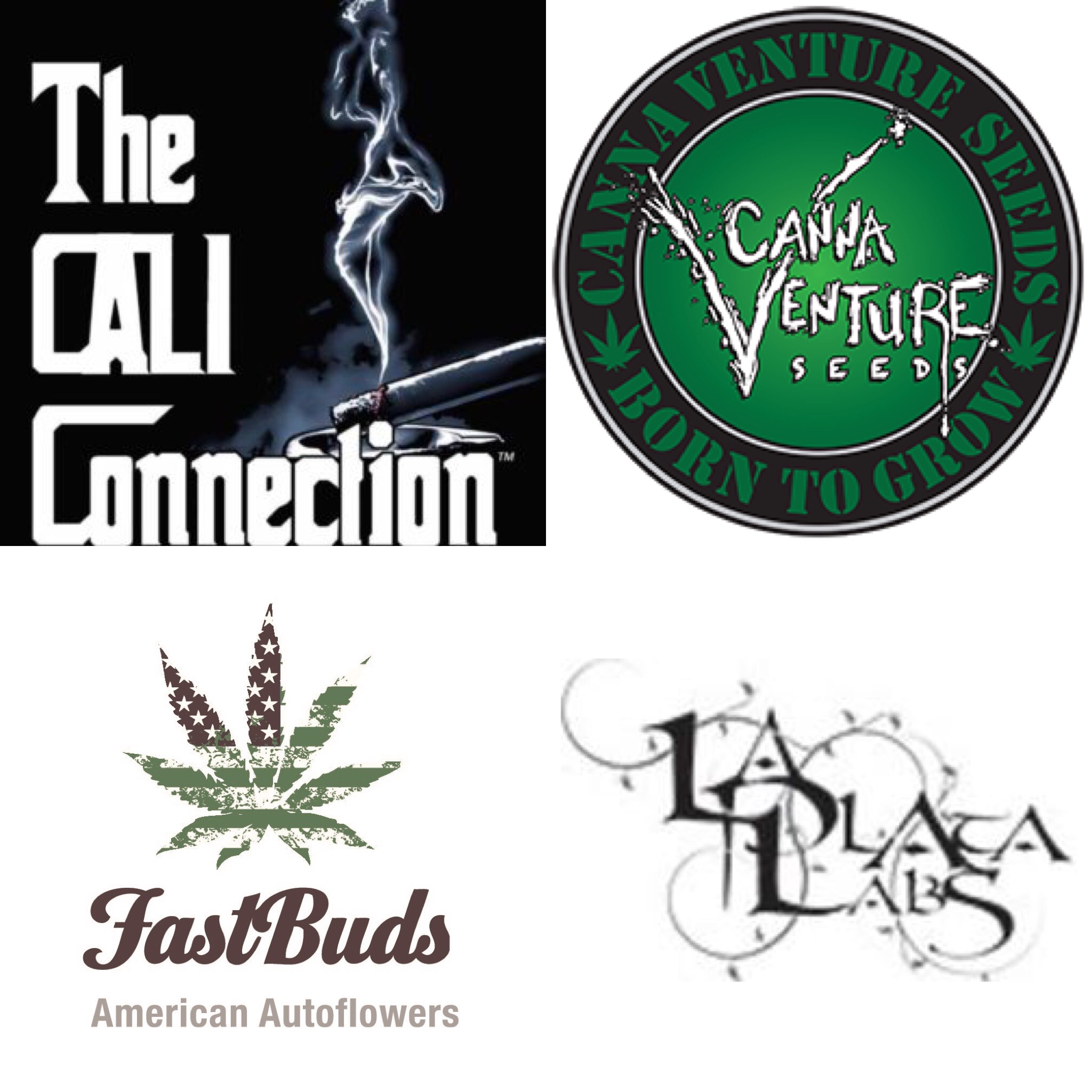 Southern Oregon Seeds Souvenir Seed Bank