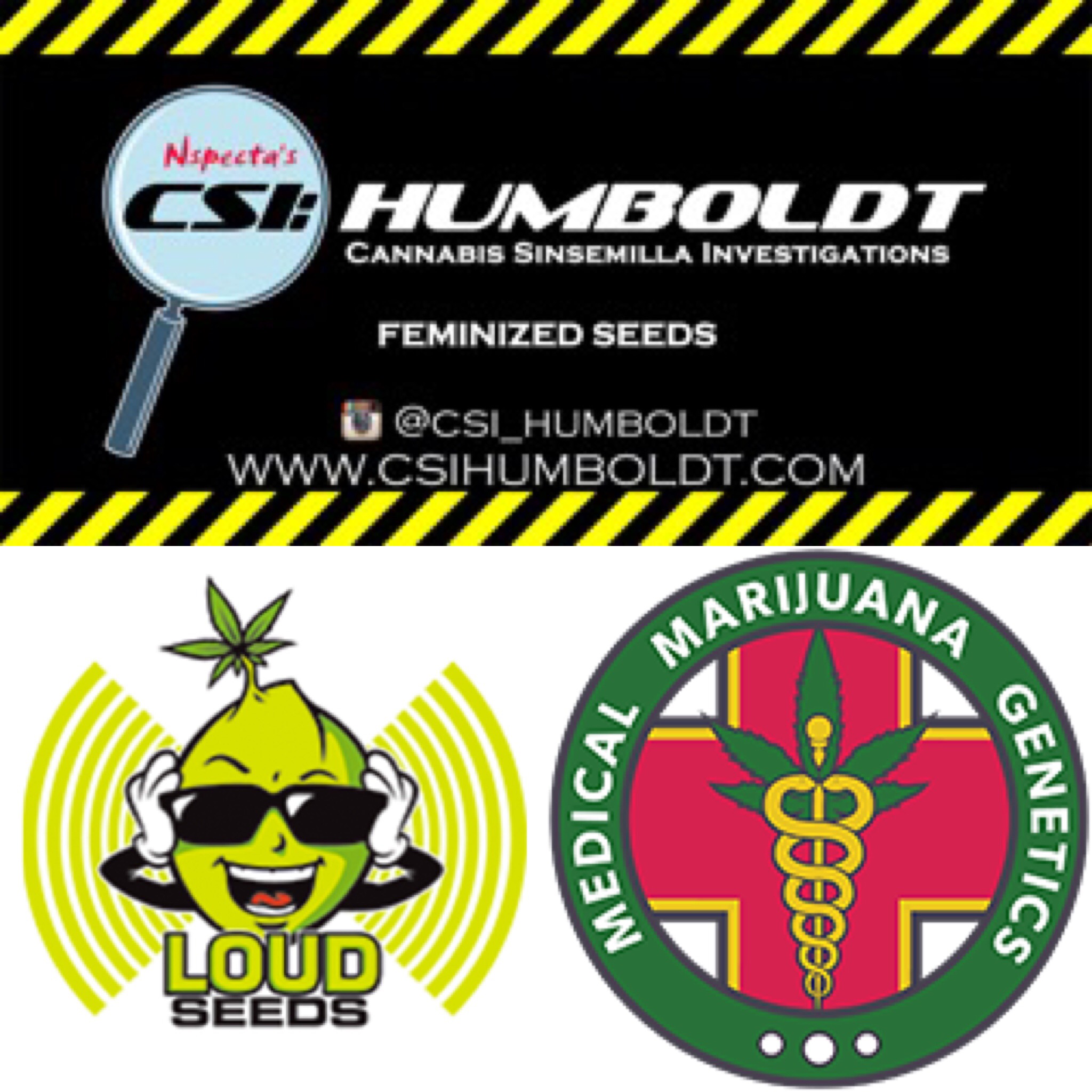 Southern Oregon Seeds Souvenir Seed Bank