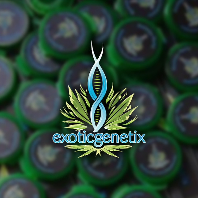 Exoticgenetix logo
