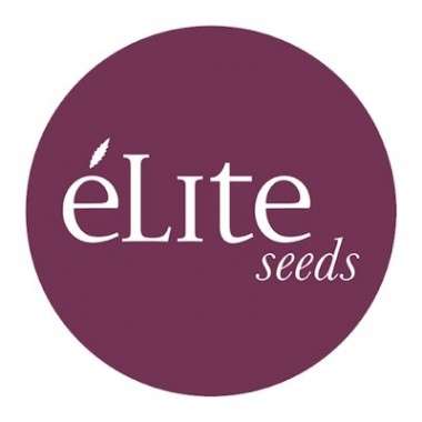 elite-seeds-logo