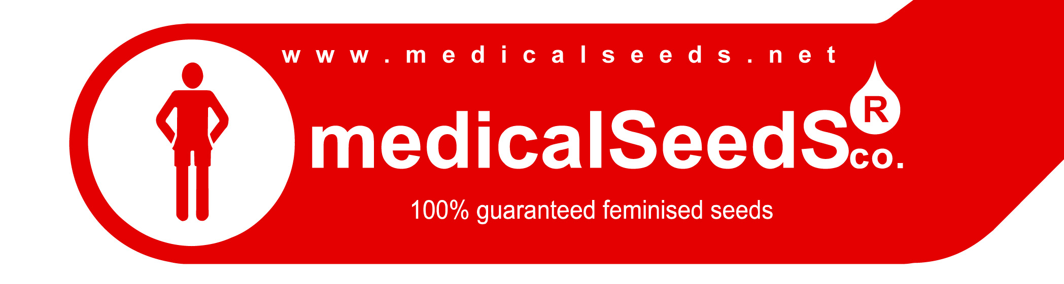medical_seeds_logo2