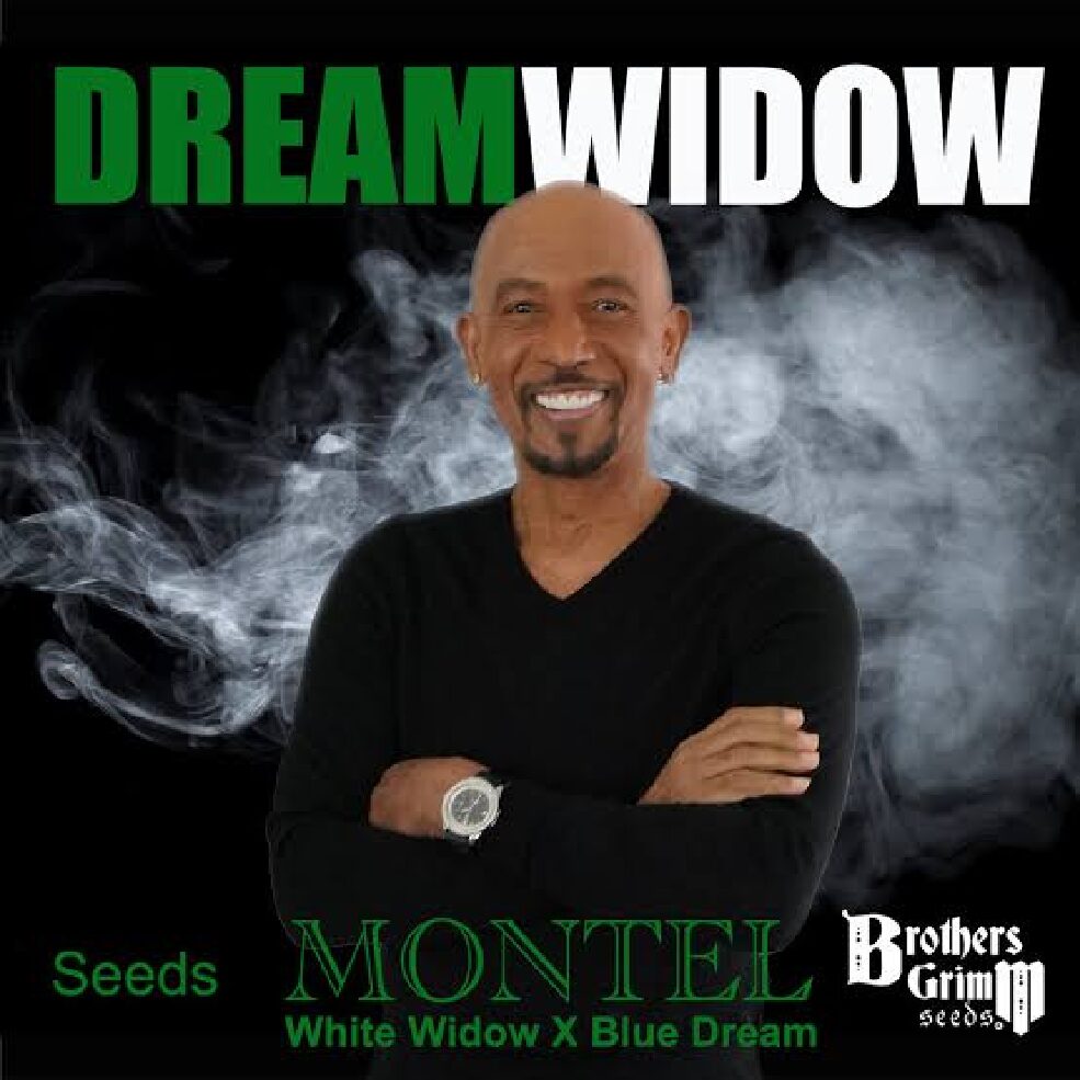 Montel's Dream Widow -  Feminized