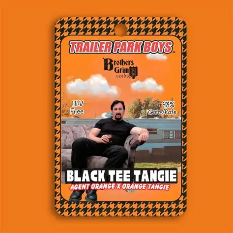 Julian's Black Tee Tangie - Feminized