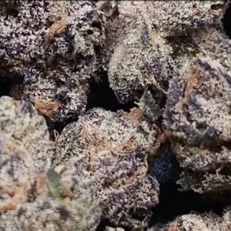 Double Afghani Kush - Feminized