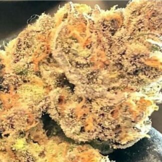 Double Kushberry - Feminized