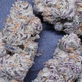 Purple Rush - Feminized